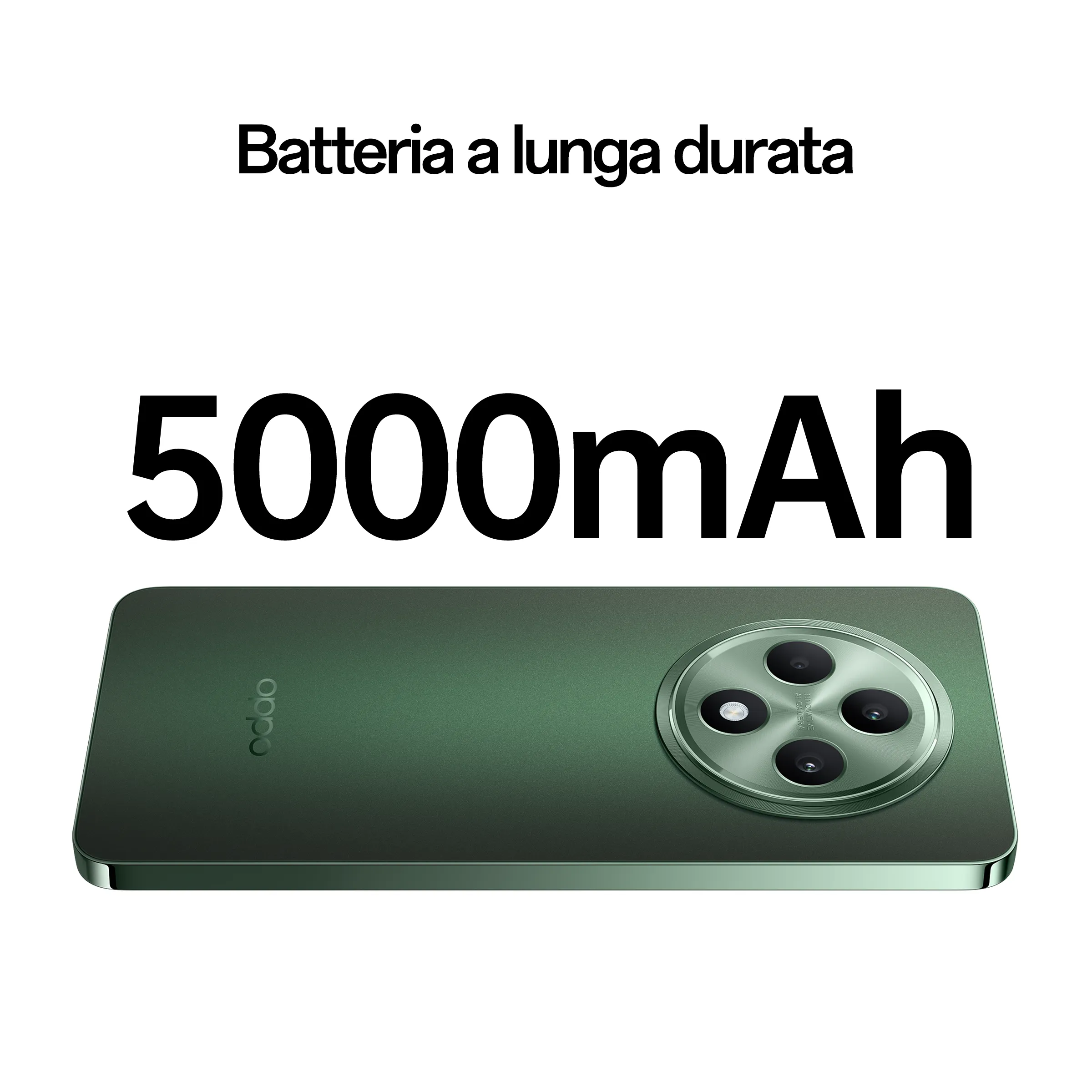 OPPO Reno12 FS 5G  Black Green  12GB+512GB_6